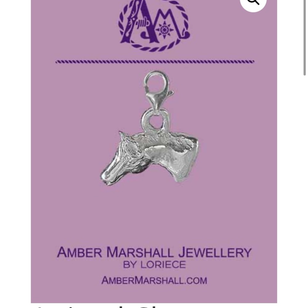 Amber Marshall charm TV show Heartland
